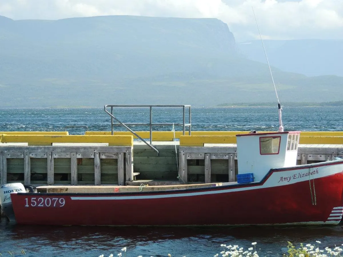 Fishing boats at a Newfoundland harbour with coastal hills