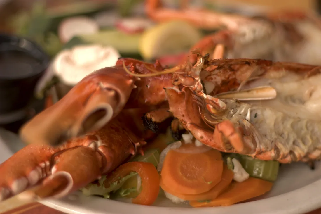 Cooked North Atlantic lobster served on a plate