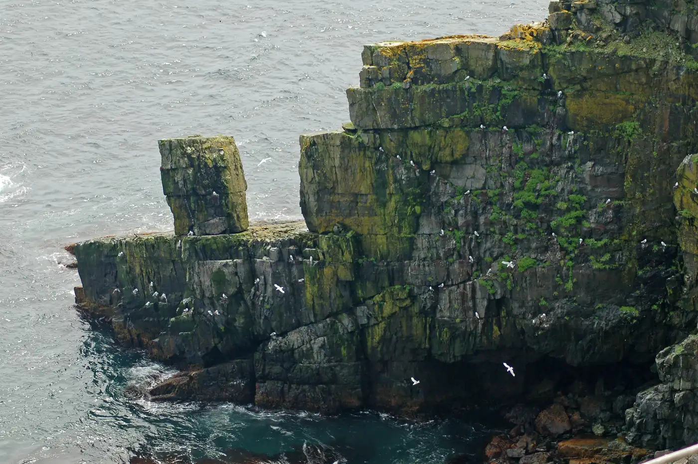 Coastal cliffs and the North Atlantic off Newfoundland