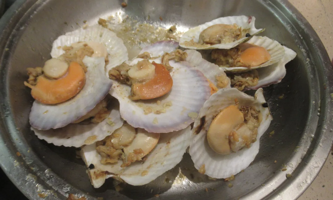 Sea scallops in the half shell with roe